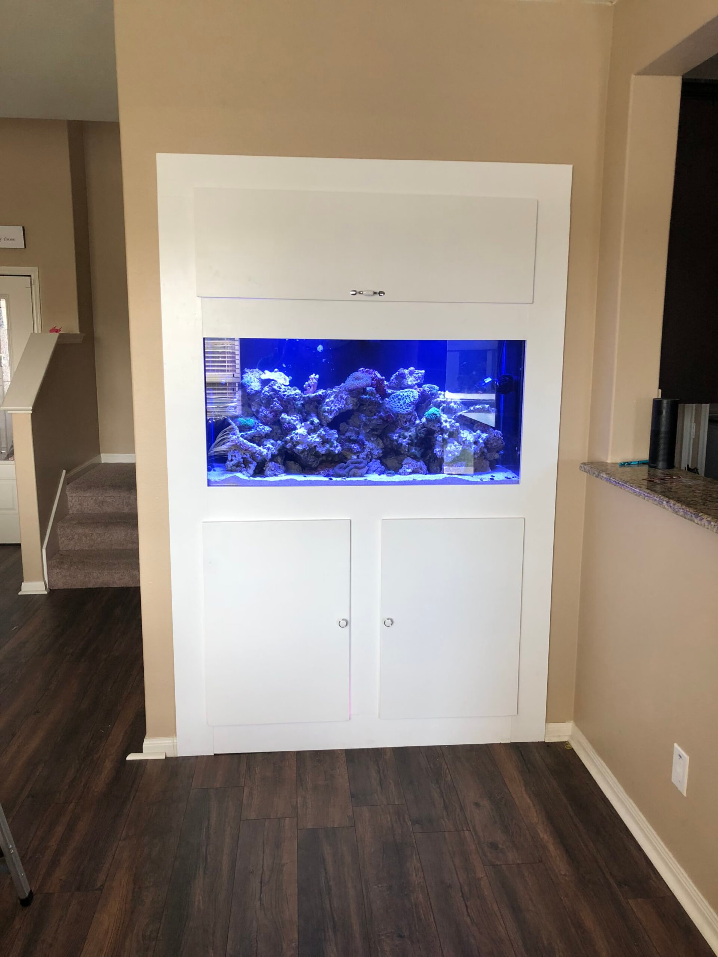 Reef aquarium built into a white wall divider