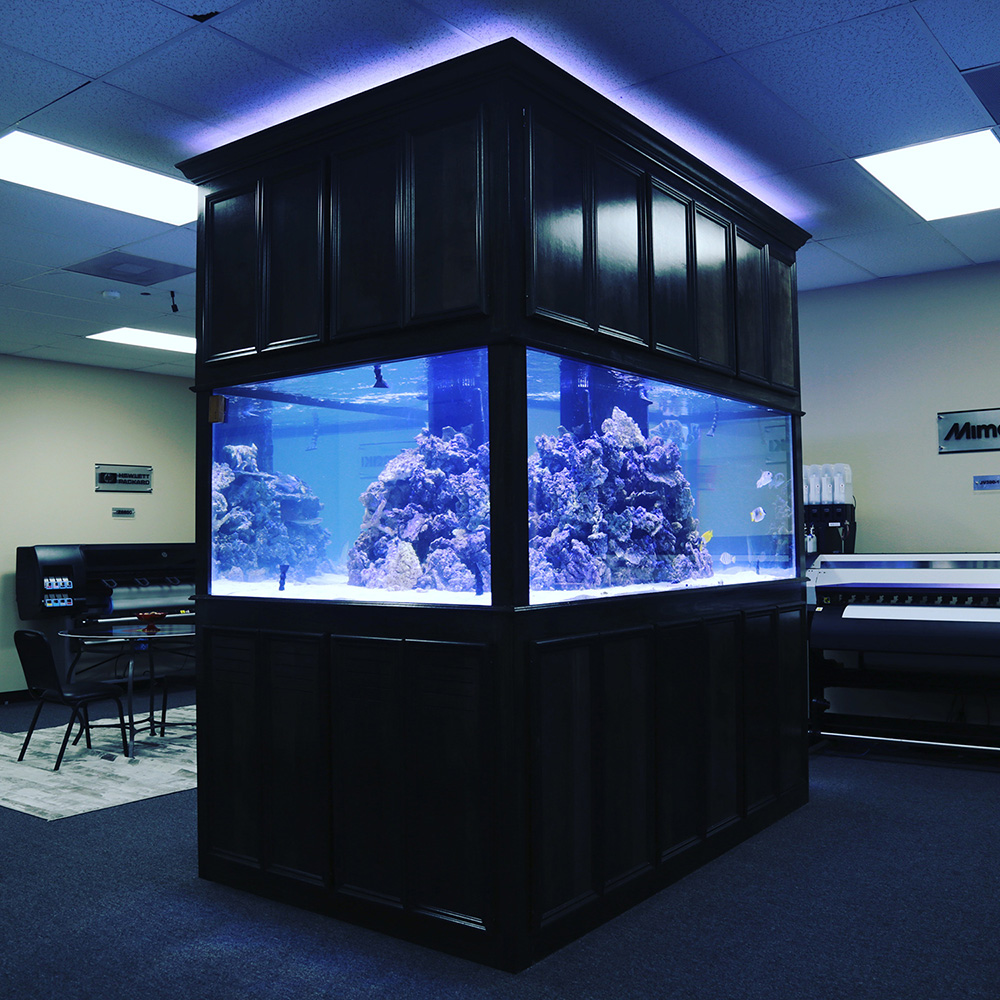 Large peninsula reef aquarium in an office