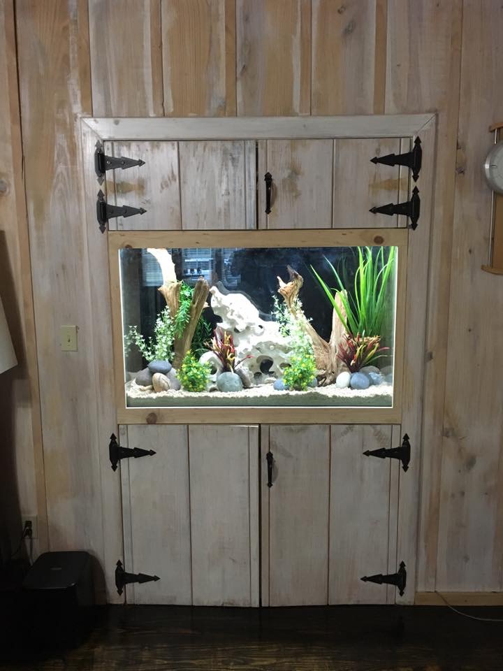 Freshwater aquarium framed in rustic barnwood cabinetry