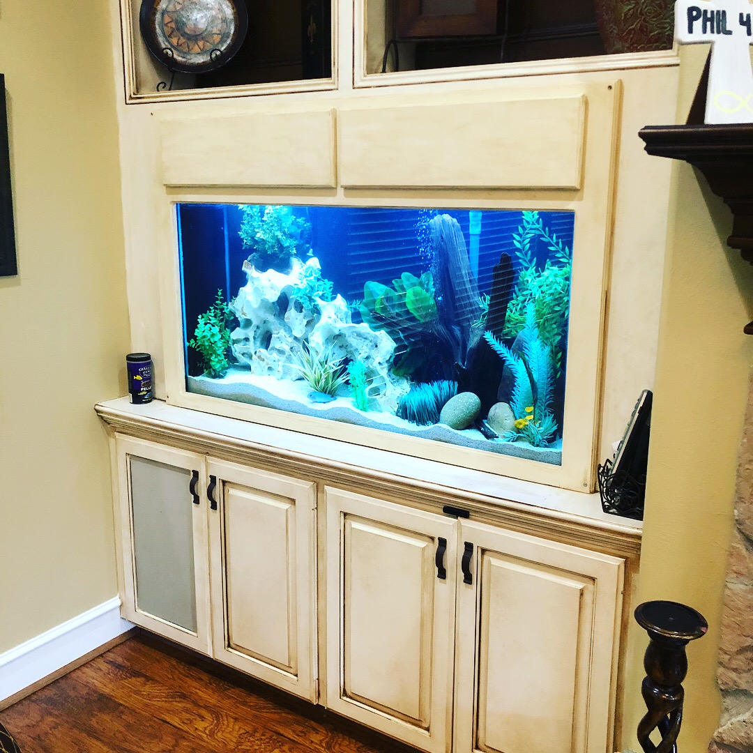 Freshwater aquarium in cream cabinetry
