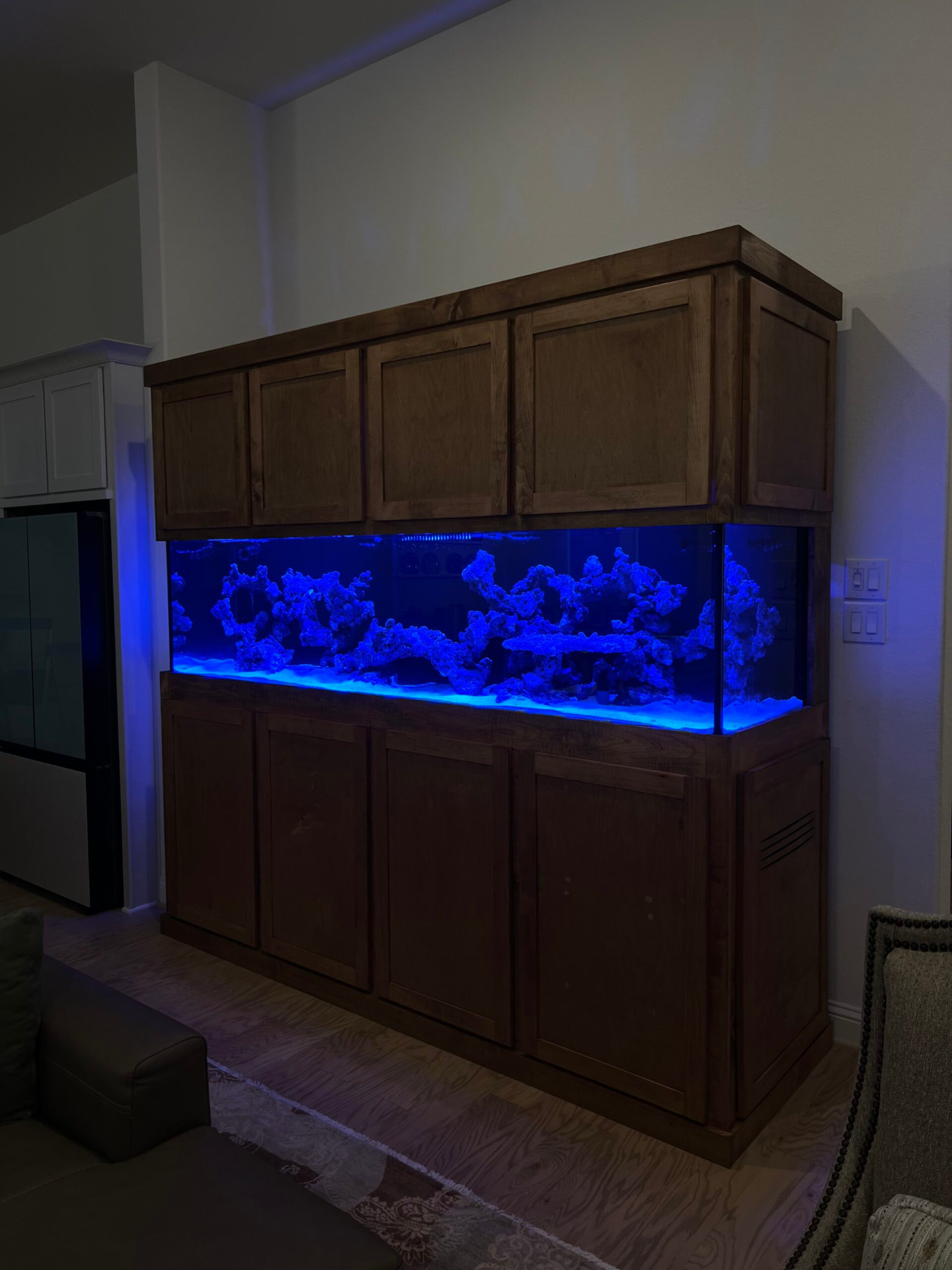 Reef aquarium in walnut cabinetry with blue lighting